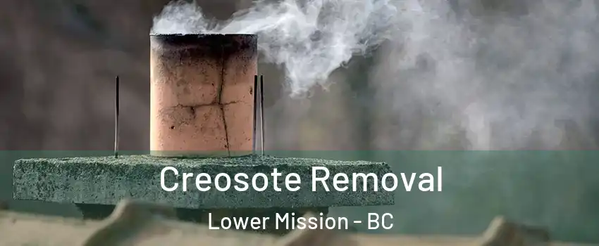  Creosote Removal Lower Mission - BC
