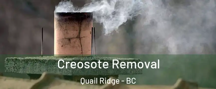  Creosote Removal Quail Ridge - BC