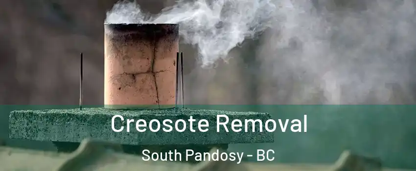  Creosote Removal South Pandosy - BC