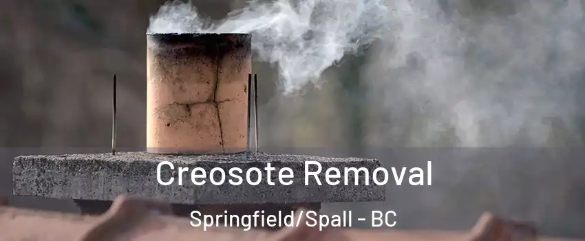  Creosote Removal Springfield/Spall - BC