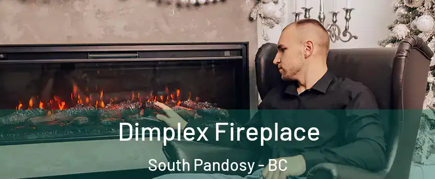  Dimplex Fireplace South Pandosy - BC