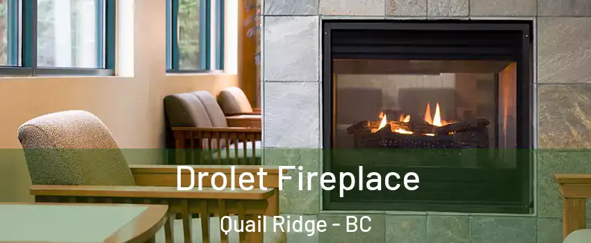 Drolet Fireplace Quail Ridge - BC