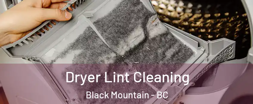  Dryer Lint Cleaning Black Mountain - BC