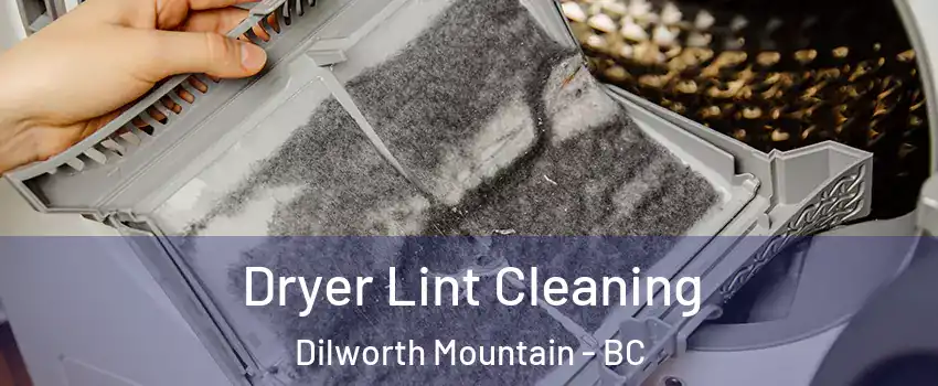  Dryer Lint Cleaning Dilworth Mountain - BC