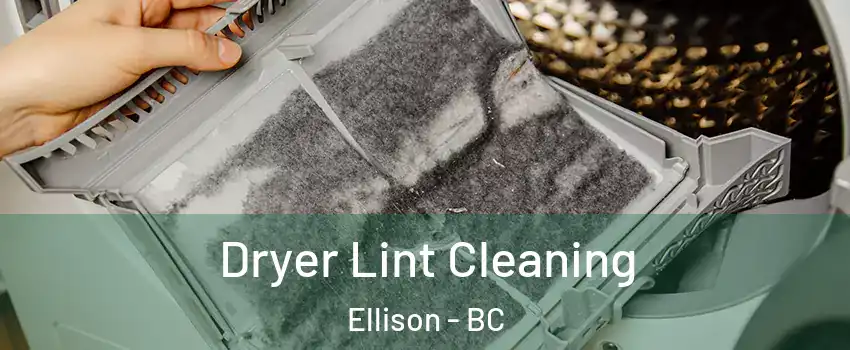  Dryer Lint Cleaning Ellison - BC