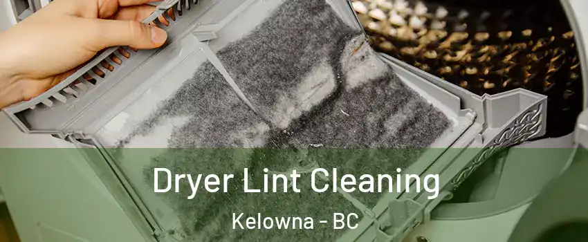  Dryer Lint Cleaning Kelowna - BC