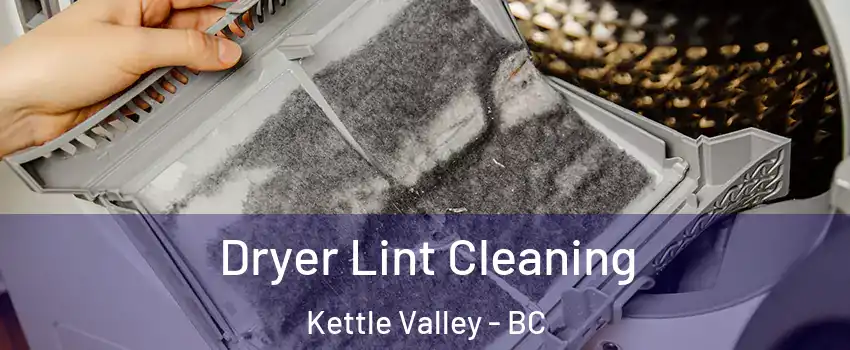  Dryer Lint Cleaning Kettle Valley - BC