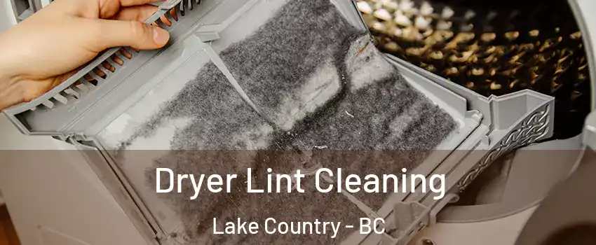  Dryer Lint Cleaning Lake Country - BC