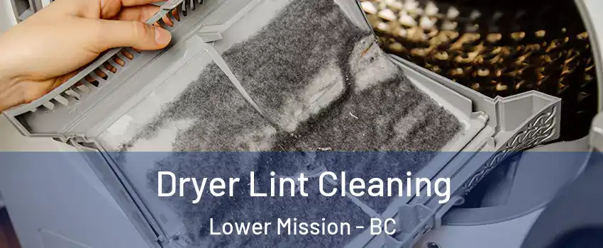  Dryer Lint Cleaning Lower Mission - BC