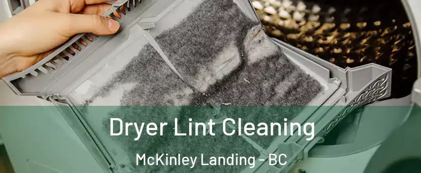  Dryer Lint Cleaning McKinley Landing - BC