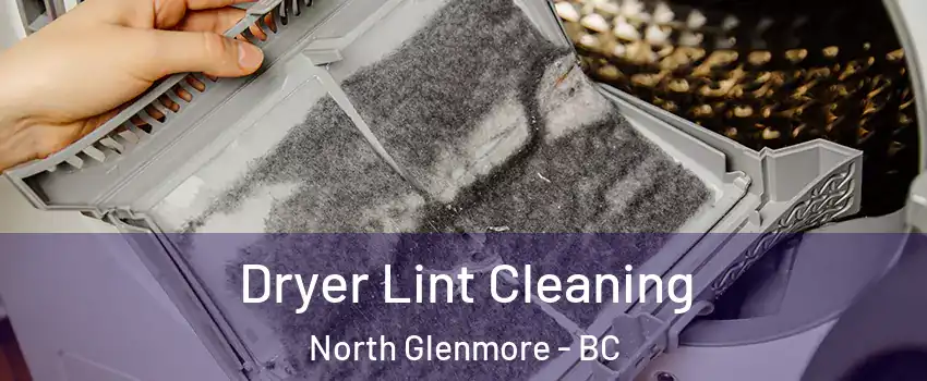  Dryer Lint Cleaning North Glenmore - BC