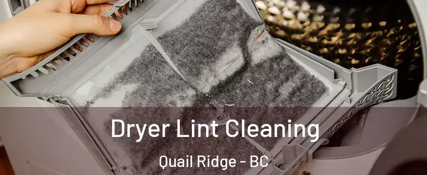  Dryer Lint Cleaning Quail Ridge - BC