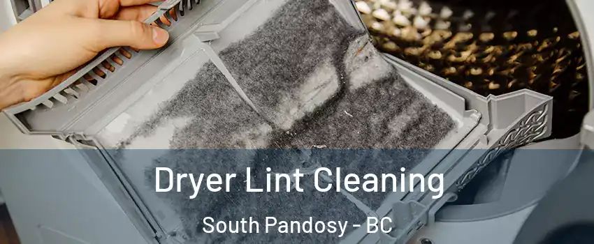  Dryer Lint Cleaning South Pandosy - BC