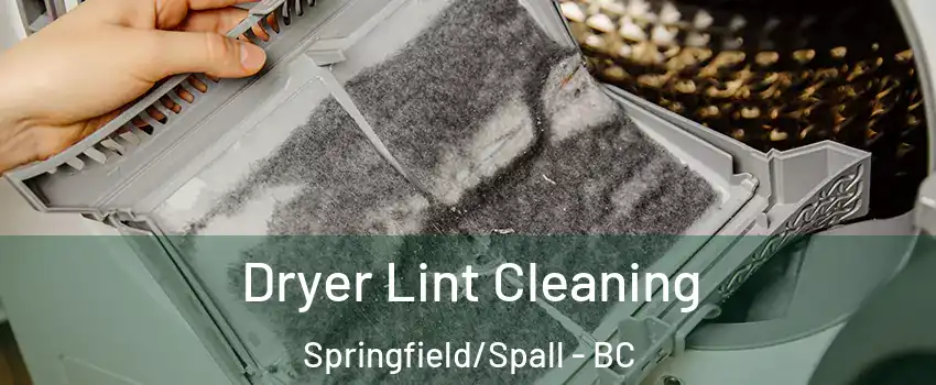  Dryer Lint Cleaning Springfield/Spall - BC
