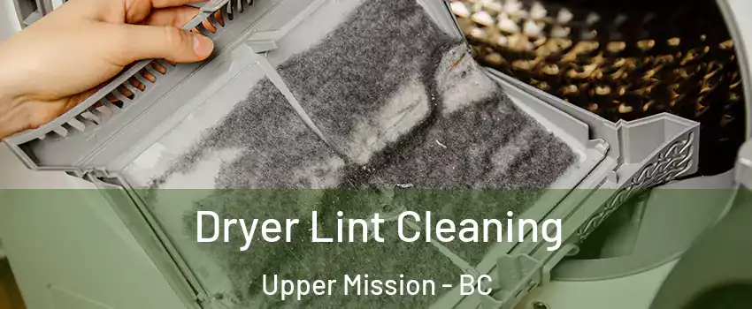  Dryer Lint Cleaning Upper Mission - BC