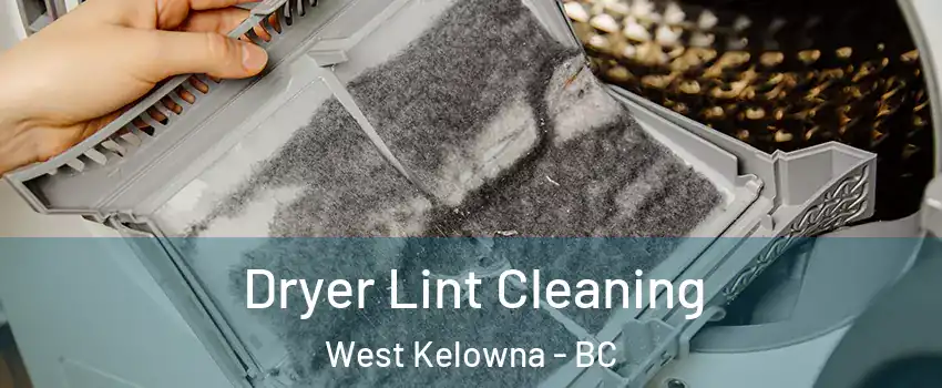  Dryer Lint Cleaning West Kelowna - BC