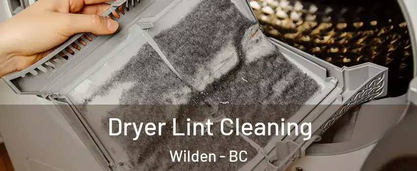  Dryer Lint Cleaning Wilden - BC