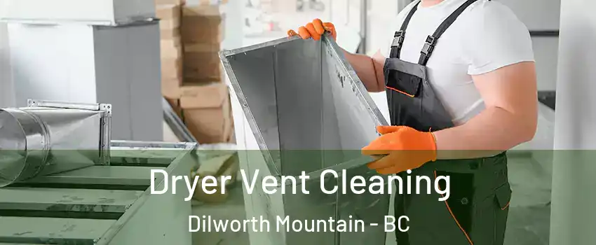  Dryer Vent Cleaning Dilworth Mountain - BC