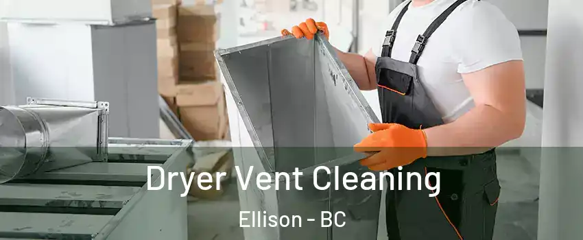  Dryer Vent Cleaning Ellison - BC