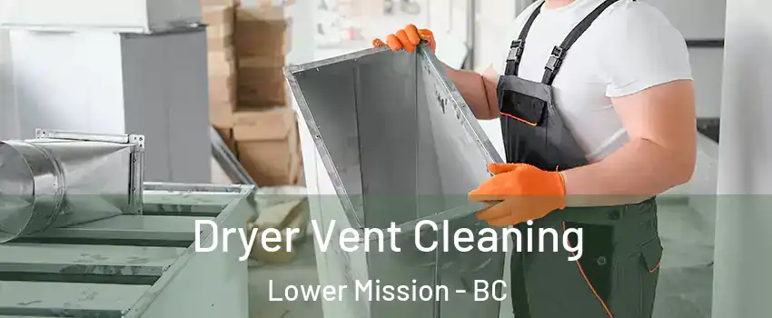  Dryer Vent Cleaning Lower Mission - BC