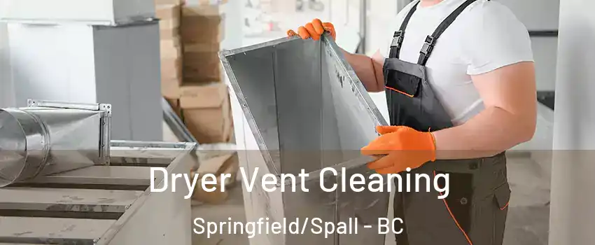  Dryer Vent Cleaning Springfield/Spall - BC
