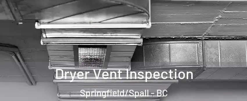  Dryer Vent Inspection Springfield/Spall - BC