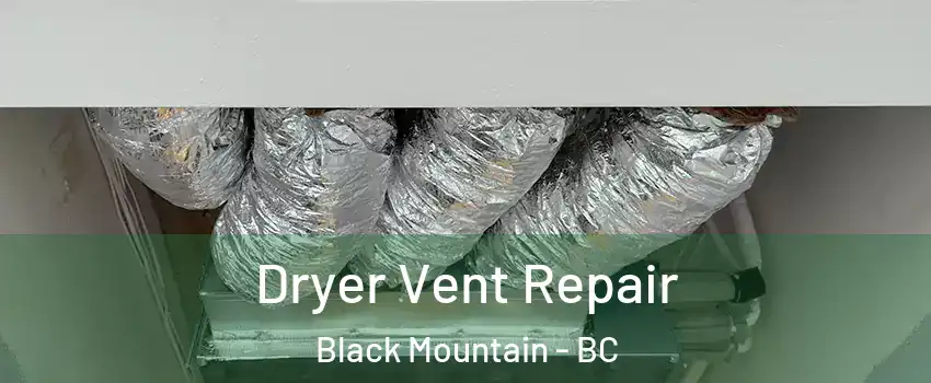  Dryer Vent Repair Black Mountain - BC