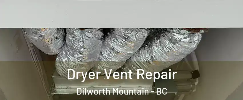  Dryer Vent Repair Dilworth Mountain - BC