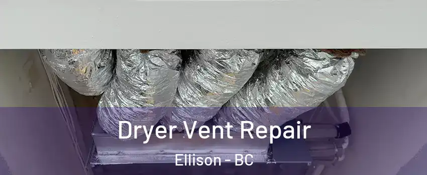 Dryer Vent Repair Ellison - BC