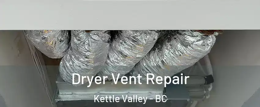  Dryer Vent Repair Kettle Valley - BC
