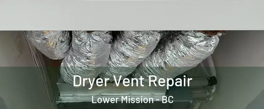  Dryer Vent Repair Lower Mission - BC