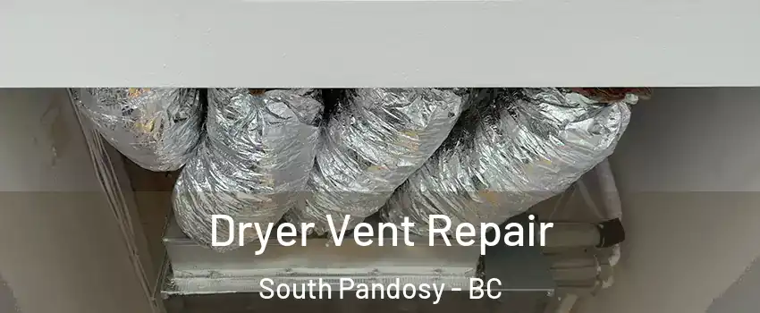  Dryer Vent Repair South Pandosy - BC