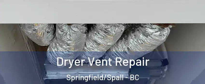  Dryer Vent Repair Springfield/Spall - BC