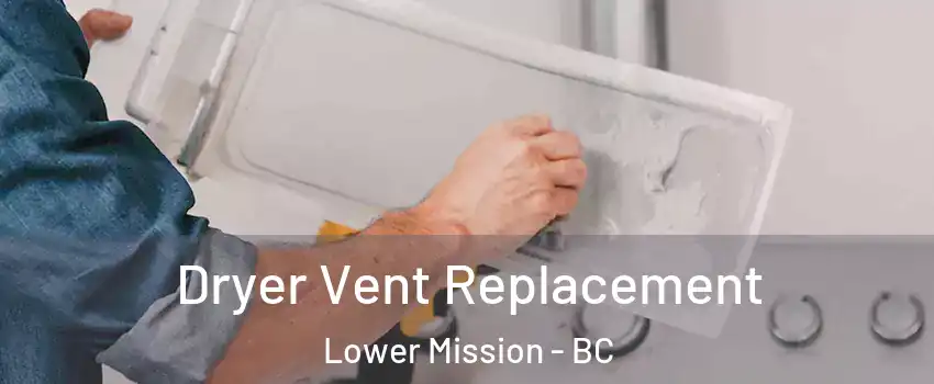  Dryer Vent Replacement Lower Mission - BC
