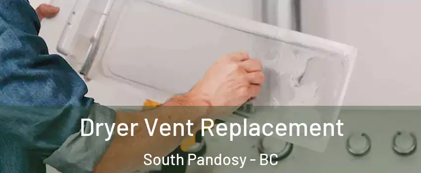  Dryer Vent Replacement South Pandosy - BC