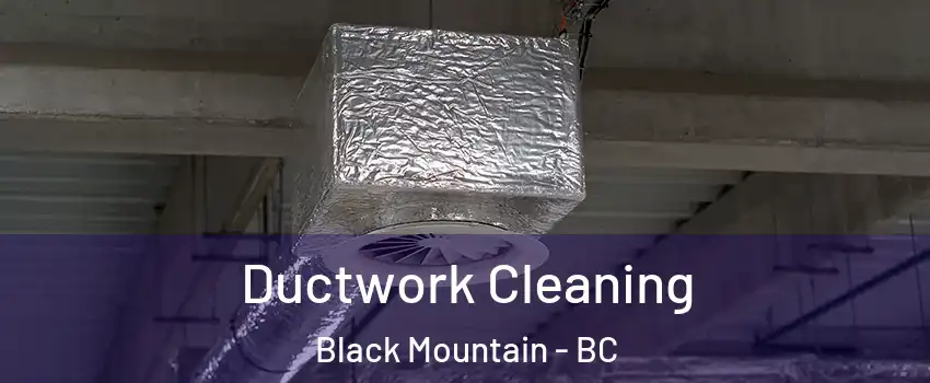  Ductwork Cleaning Black Mountain - BC