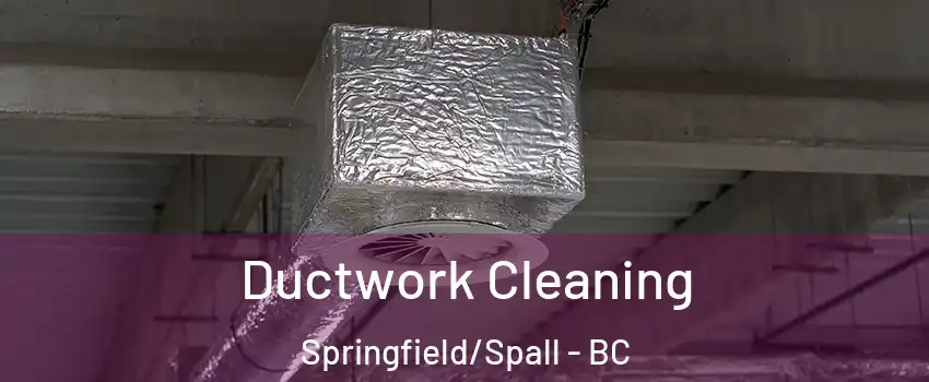  Ductwork Cleaning Springfield/Spall - BC