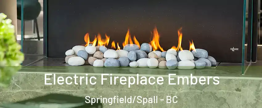 Electric Fireplace Embers Springfield/Spall - BC