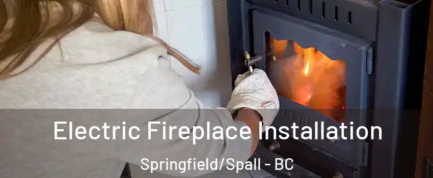  Electric Fireplace Installation Springfield/Spall - BC