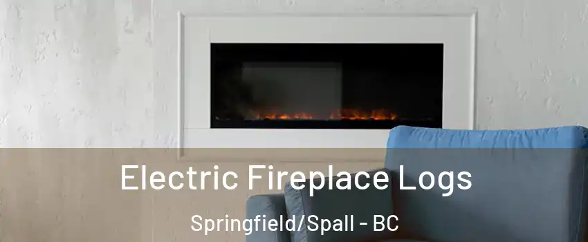 Electric Fireplace Logs Springfield/Spall - BC