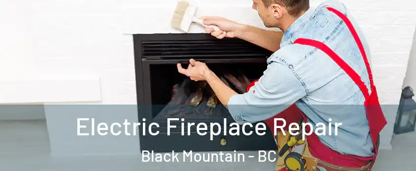  Electric Fireplace Repair Black Mountain - BC