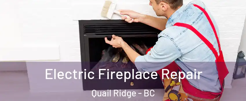 Electric Fireplace Repair Quail Ridge - BC