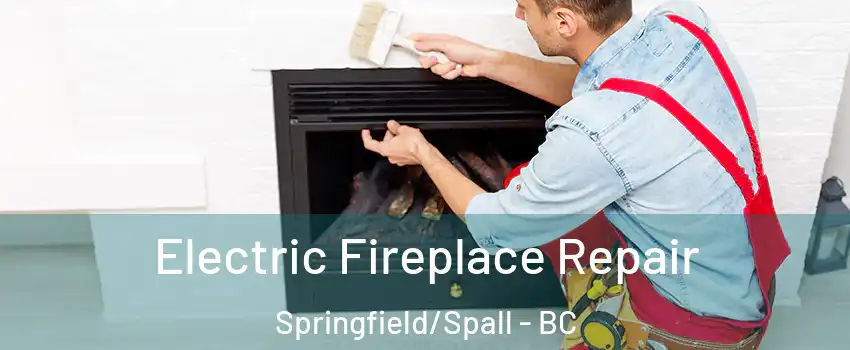  Electric Fireplace Repair Springfield/Spall - BC