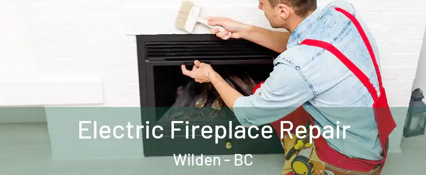  Electric Fireplace Repair Wilden - BC