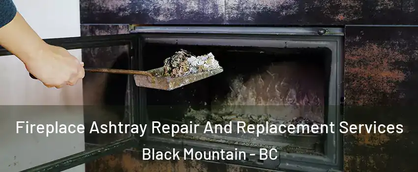  Fireplace Ashtray Repair And Replacement Services Black Mountain - BC