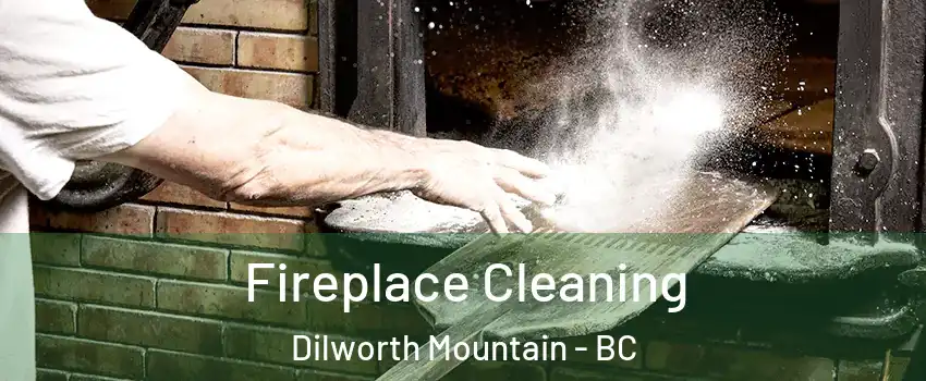  Fireplace Cleaning Dilworth Mountain - BC