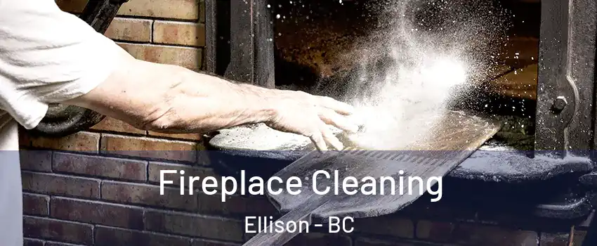  Fireplace Cleaning Ellison - BC
