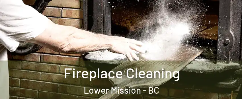  Fireplace Cleaning Lower Mission - BC