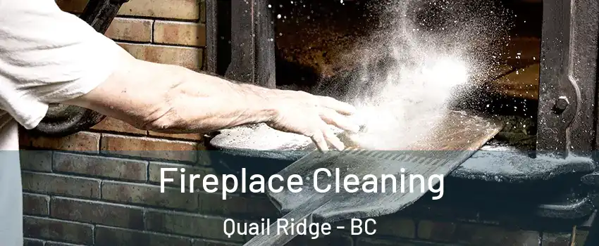  Fireplace Cleaning Quail Ridge - BC