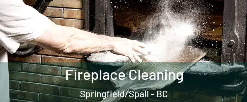  Fireplace Cleaning Springfield/Spall - BC